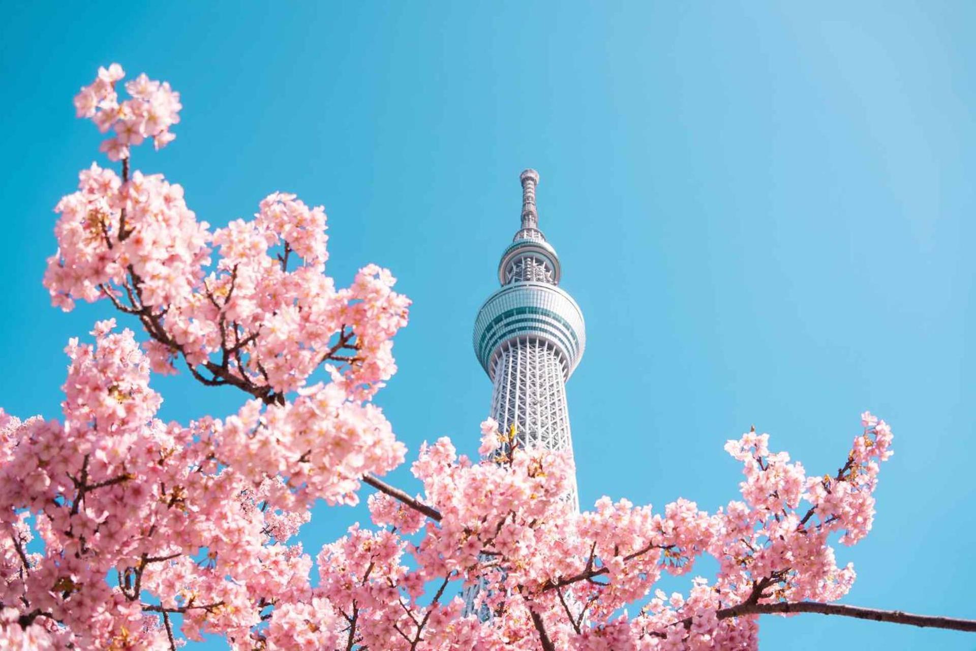 Fl Hotel Asakusa Tokyo Dış mekan fotoğraf
